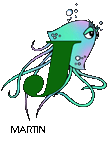 'Jellyfish' from Phillip Martin