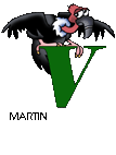 'Vulture' from Phillip Martin